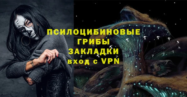 гидра Медногорск