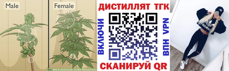 мега ONION  Тейково  ТГК вейп с тгк 