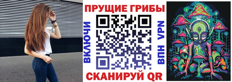Галлюциногенные грибы MAGIC MUSHROOMS  это Telegram  Тейково 